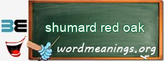 WordMeaning blackboard for shumard red oak